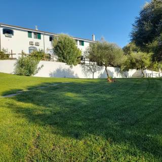 Agriturismo Palas De Serra Country Resort - Onifai - 8