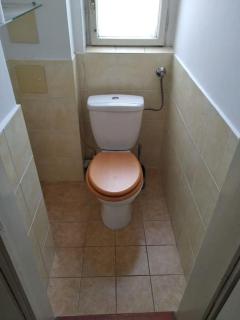 Authentic, traditional airbnb in central Prague ! - Prague - 3