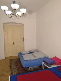 Authentic, traditional airbnb in central Prague ! - Prague - 7