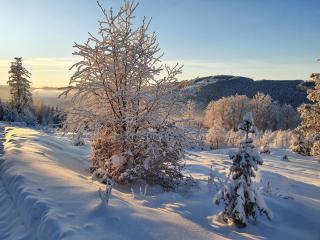 Szczyrkowe Zacisze - 4