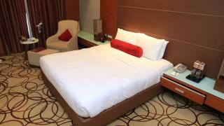Hyatt Centric Janakpuri New Delhi - New Delhi - 6
