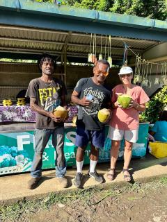 Latui Lodge - Savusavu - 6