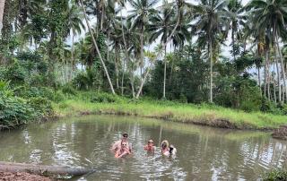 Latui Lodge - Savusavu - 4