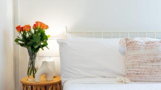 Wollumboola Lake House - Culburra Beach - 1