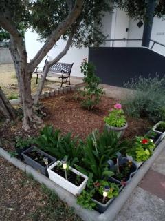 Apartments with a parking space Kraj, Pasman - 8213 - Tkon - 4