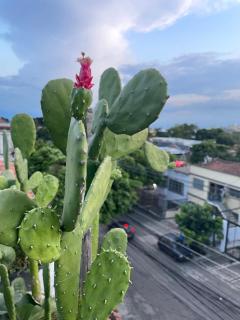 Principal casa Zaccardi - 8