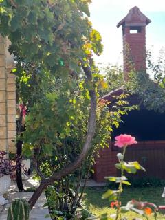 Apartments with parking space Vlasici - Pag - 4139 - 3