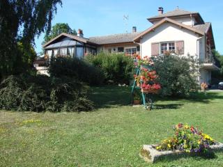 Gîte ensoleillé idéal pour couples - Proche d'Épinal avec terrasse et Wifi - FR-1-589-613 - 4