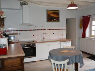 Maison de caractère 1840 en Touraine avec grand jardin, pêche, à proximité de Loches et châteaux. - FR-1-381-558 - 6