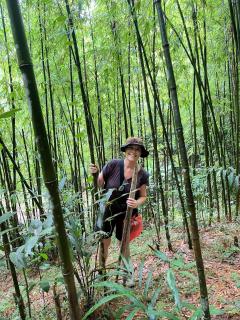 SaPa Big Tree Hmong Homestay - Sapa - 1