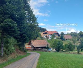 Dischhof - Biederbach Baden-Württemberg - 1