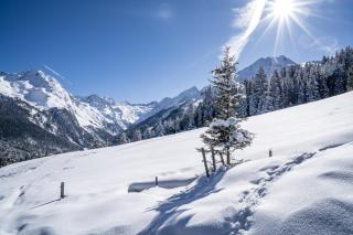 Alpengasthof Praxmar - 7