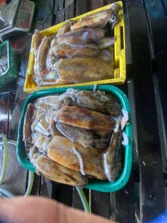 ChaoleySeafood - Ban Klang - 5