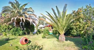 Pasiphae Hotel - Skala Kallonis - 1