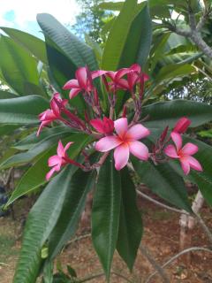 Callachuchi Homestay - 1