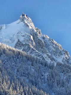 Appartement Cosy, Vue Mont Blanc, Plein Centre - Chamonix - 4