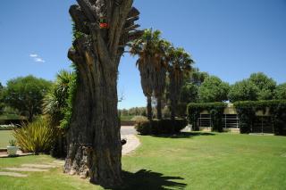 Melton Wold Guest Farm - 1