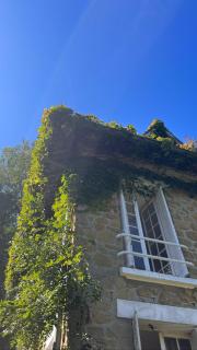 Lumineux appartement, jardin, vu sur mer - 1