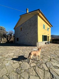 Il Gelso - Trivigno - 8