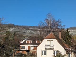 Le Cosy (20' Strasbourg en Bus) - Marlenheim - 6