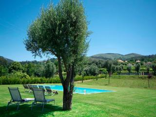 Beautifully Restored Ponte De Lima Farm House 6 Bedrooms Quinta Fornelos Private Pool & Surrounded By Hectares Of Vineyards - Ponte de Lima - 7