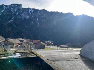 New Studio in Chalet Kuckuk - Habkern - 2