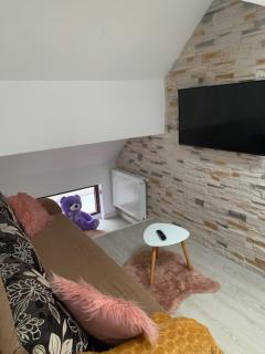 Vila F&C - Brasov - 7