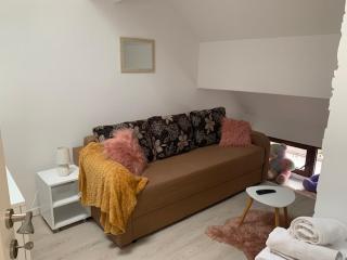 Vila F&C - Brasov - 8