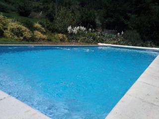 Villa au calme avec grande piscine - Villerest - 8