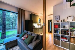 Heban Forest Cabin&SAUNA Starlink - Tomczyn - 5