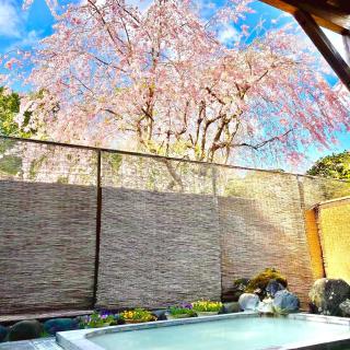 Fuji-Hakone Guest House - Hakone - 9