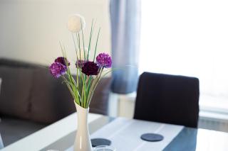 Apartma Ella - Lovrenc na Pohorju - 2