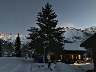 Engelberg, Renovated Chalet in Wonderful Location - Engelberg - 0