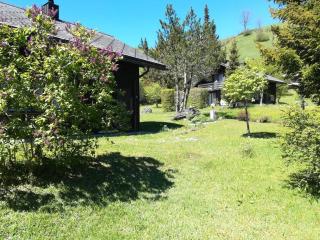 Engelberg, Renovated Chalet in Wonderful Location - Engelberg - 1