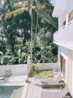 Sakshi Villas Private Forest Sanctuary - Bedahulu - 4