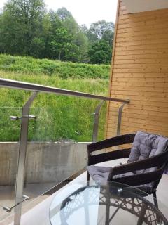 Crystal Wood Apartment 213 - Bakuriani - 3