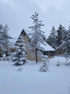 WoodAvenue - Blidinje - 0