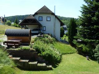 Ferienhaus mit Kamin , Terrasse und Aussensauna - Pöhla - 4