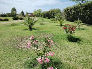 Suite independiente con parque - 5