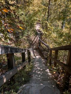 Luxury Spacious Mountain Glamping - 7