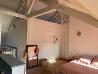 Grande chambre indépendante, charme, calme sur jardin, Nantes centre, accès privé par escalier de l'immeuble, sdb & wc privés, 10 minutes gare et palais des congrès - 8