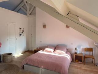 Grande chambre indépendante, charme, calme sur jardin, Nantes centre, accès privé par escalier de l'immeuble, sdb & wc privés, 10 minutes gare et palais des congrès - 7