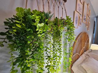 Brise Marine - Saint Gilles les Bains - Boucan - Studio vue mer - Saint-Gilles-les-Bains - 5