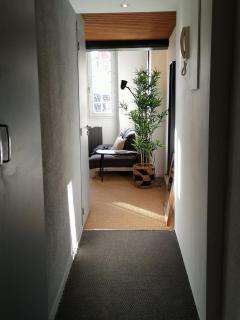 Lovely apartment dowtown - 2