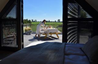 Bedje in de polder - 0