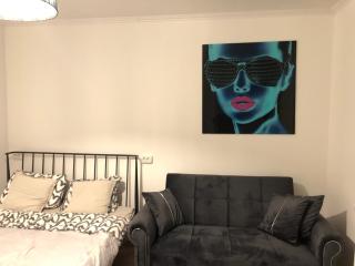 Ally's Urban Cozy Studio Juhkentali 42 near city - Tallinn - 9