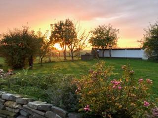 50098 Küstenhaus - Carolinensiel - 3