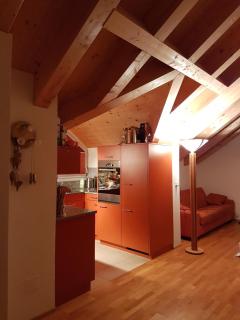 Penthouse Apartment in Davos - 7