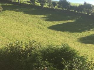 The Dairy at Middle Nuckwell - 6