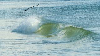 Beachside - Holmes Beach - 8